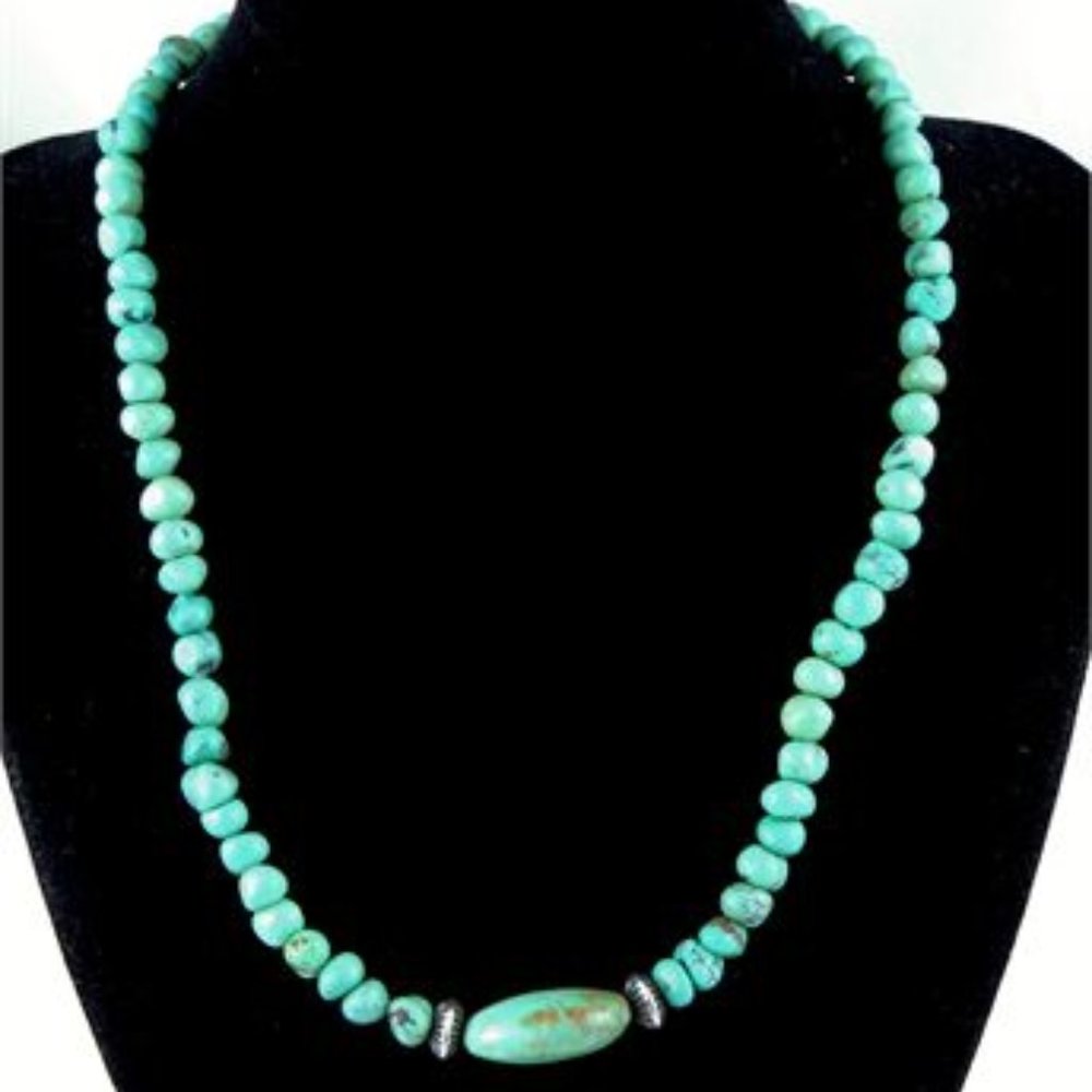 Carolyn Pollack RELIOS Turquoise & Sterling Silver